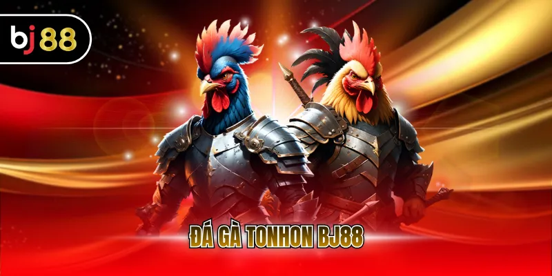 đá gà Tonhon BJ88
