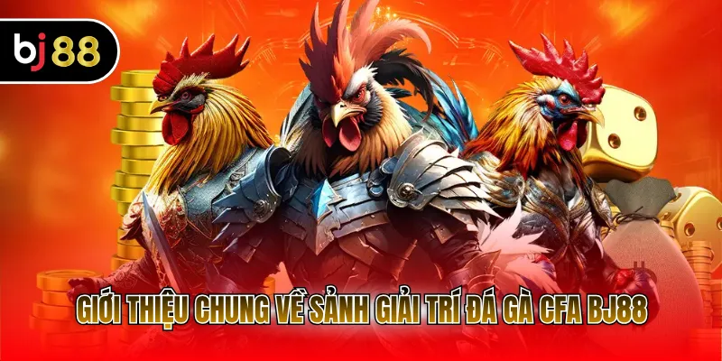 Giới thiệu chung về sảnh giải trí đá gà CFA BJ88